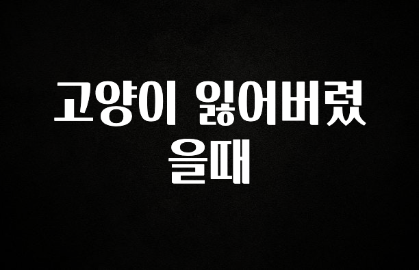 인스타 정보 고양이 잃어버렸을때 좋은 정보