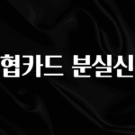 이번 달 농협카드 분실신고 실간 리뷰