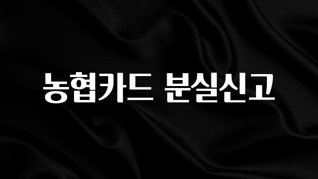 이번 달 농협카드 분실신고 실간 리뷰