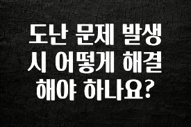 꼭 봐야하는 이유 도난 문제 발생 시 어떻게 해결해야 하나요? 실사용 후기