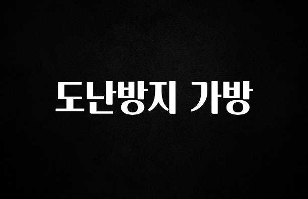 모두가 궁금해 했던 도난방지 가방 실사용 후기