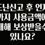 오늘 추천드려야 할 도난신고 후 언제까지 사용금액에 대해 보상받을수 있나요? 업데이트된 소식입니다