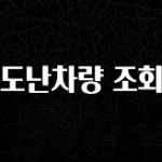 찐공개 도난차량 조회 지금 소개할게요