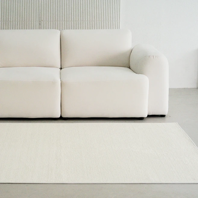 가성비 좋은 러그 요약정리