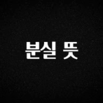 꼭 보고싶은 분실 뜻 소개합니다