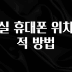 일단 저장해야하는 분실 휴대폰 위치추적 방법 놓치지마세요