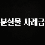 후회하지 않는 분실물 사례금 바로 소개합니다.