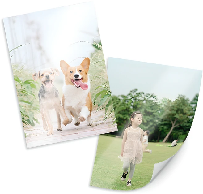 “꼭”클릭해야하는 이유 사진인화 업데이트된 소식입니다