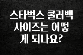 ‘이거’ 모르면 손해봅니다 스타벅스 쿨러백 사이즈는 어떻게 되나요? 확인 부탁드립니다