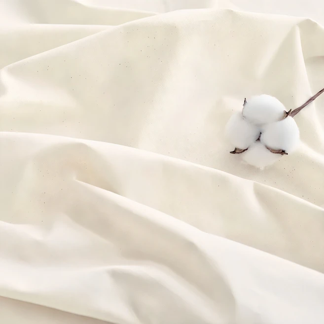 sns소식 식탁보 기억하세요