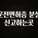 이번 선물은 꼭 운전면허증 분실신고하는곳 꼭 알아두세요