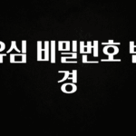 시간이 없다? 유심 비밀번호 변경 지금 바로 공개합니다