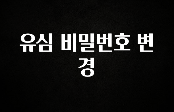 시간이 없다? 유심 비밀번호 변경 지금 바로 공개합니다