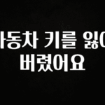 핫 소식 자동차 키를 잃어버렸어요 군말없이 소개합니다