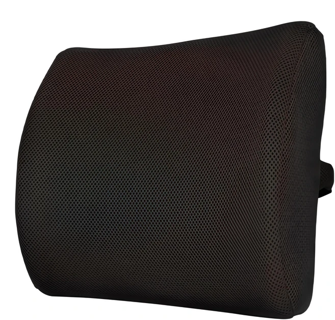 특별한 이유 자동차허리쿠션 요약본만 확인해보세요