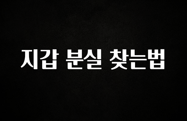 추천드려야할 소식 지갑 분실 찾는법 군말없이 소개합니다