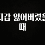 품절이 임박한 지갑 잃어버렸을때 지금 소개할게요