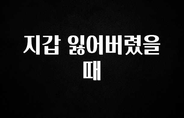 품절이 임박한 지갑 잃어버렸을때 지금 소개할게요