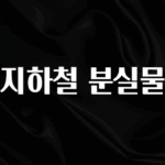 이번 선물은 꼭 지하철 분실물 궁금하신가요?