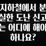 보고싶은 순간 지하철에서 분실한 도난 신고는 어디에 해야 하나요? 전해드립니다