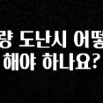 실시간 반응 터진 차량 도난시 어떻게 해야 하나요? 무조건 확인