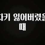 “꼭”클릭해야하는 이유 차키 잃어버렸을때 30초면 확인 가능합니다