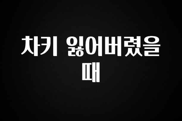 “꼭”클릭해야하는 이유 차키 잃어버렸을때 30초면 확인 가능합니다