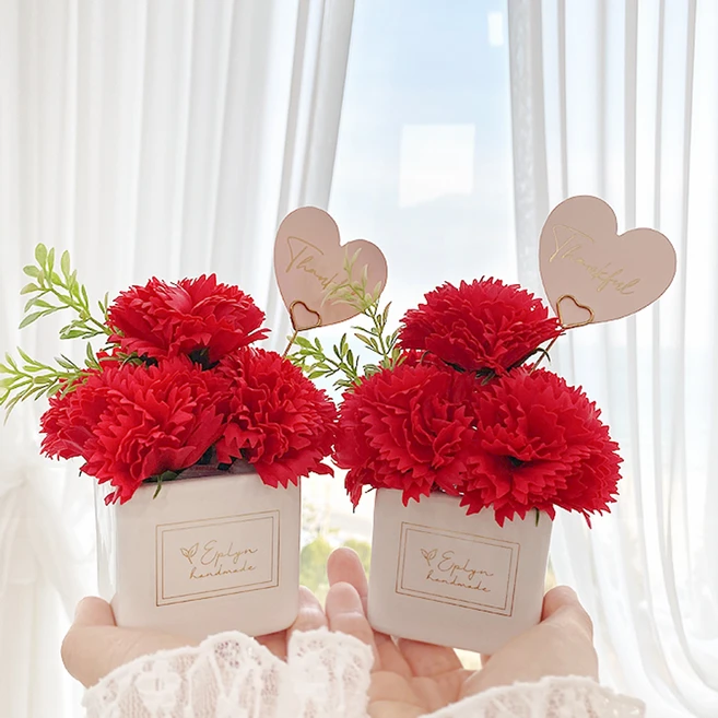 이 “정보” 못참지 카네이션 꼭 확인해보세요