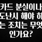 드디어 다음주에 공개 카드 분실이나 도난시 해야 하는 조치는 무엇인가요? 실간 리뷰