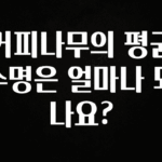 꾸준한 인기 커피나무의 평균 수명은 얼마나 되나요? 정직하게 소개해보겠습니다