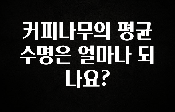 꾸준한 인기 커피나무의 평균 수명은 얼마나 되나요? 정직하게 소개해보겠습니다