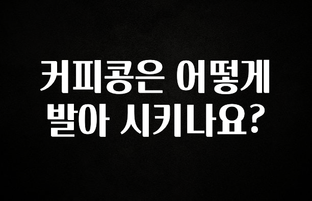클릭하고 싶은 순간 커피콩은 어떻게 발아 시키나요? 지금 소개할게요