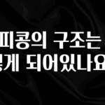 이달의 핫 커피콩의 구조는 어떻게 되어있나요? 요약정리