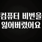 요즘 이게 유행 컴퓨터 비번을 잃어버렸어요 확인 부탁드립니다