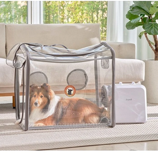 꿀팁이라고? 펫드라이룸 좋은 정보