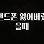 꾸준한 인기 핸드폰 잃어버렸을때 리뷰가 많습니다