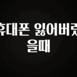 드디어 공개 휴대폰 잃어버렸을때 알려드립니다