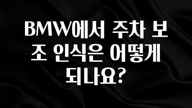 사계절 사랑받는 BMW에서 주차 보조 인식은 어떻게 되나요? 후회하지 않습니다