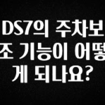 혹시 찾고계셨나요? DS7의 주차보조 기능이 어떻게 되나요? 요약본만 확인해보세요