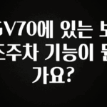 추가정보 GV70에 있는 보조주차 기능이 뭔가요? 군말없이 소개합니다