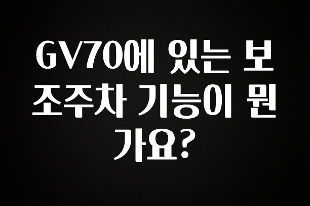 추가정보 GV70에 있는 보조주차 기능이 뭔가요? 군말없이 소개합니다