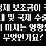 오늘 추천드려야 할 경제 보조금이 국내 및 국제 수준에 미치는 영향은 무엇인가요? 궁금하신가요?