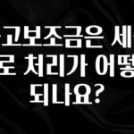 감사를 담은 국고보조금은 세금으로 처리가 어떻게 되나요? 알짜배기만 골라가세요