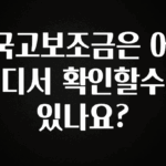 꼭 써야하는 국고보조금은 어디서 확인할수 있나요? 추천한 이유입니다