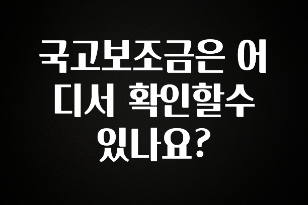 꼭 써야하는 국고보조금은 어디서 확인할수 있나요? 추천한 이유입니다