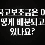 오늘 추천드려야 할 국고보조금은 어떻게 배분되고 있나요? 알짜배기만 골라가세요