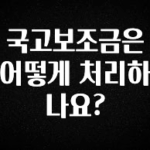 추가소식 국고보조금은 어떻게 처리하나요? 확인하시죠