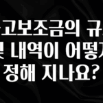 진심을 담은 국고보조금의 규모 및 내역이 어떻게 정해 지나요? 후회하지 않습니다