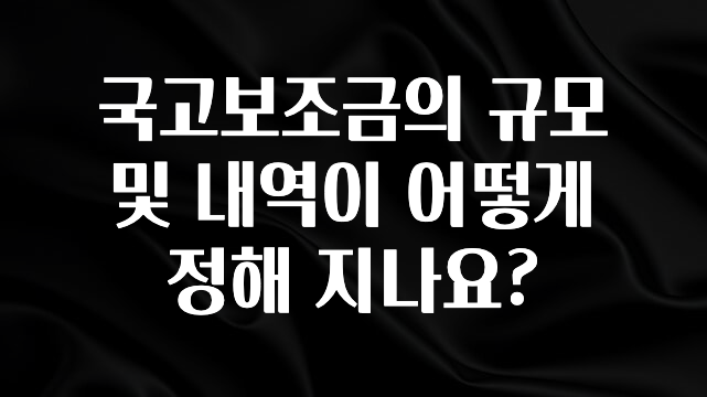 진심을 담은 국고보조금의 규모 및 내역이 어떻게 정해 지나요? 후회하지 않습니다