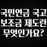 사랑을 담은 국민연금 국고 보조금 제도란 무엇인가요? 무조건 확인
